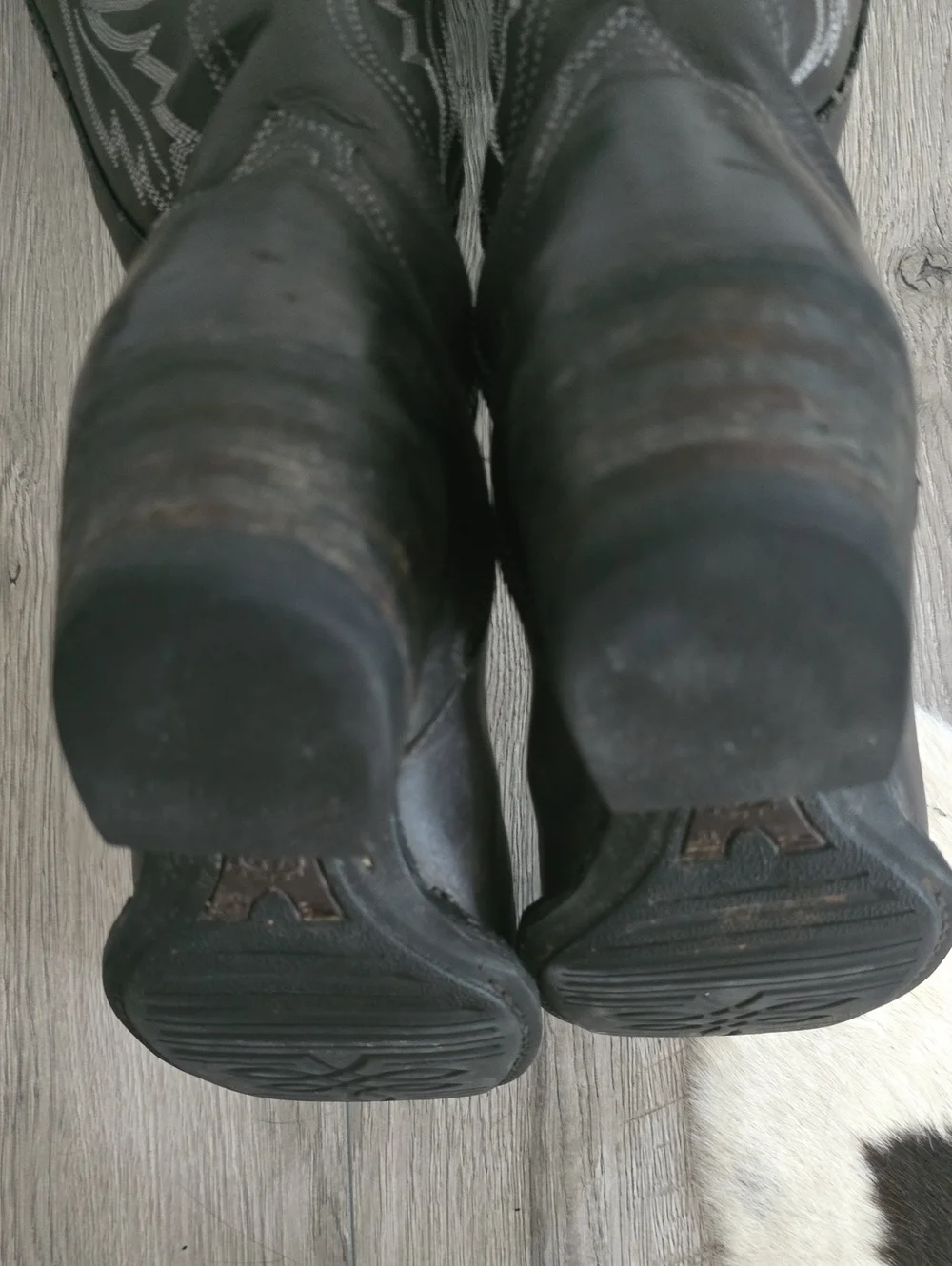 Ariat Knee High Boots